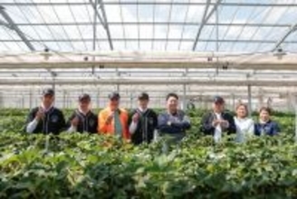 温泉で育ついちごに出会う。料理人が農園を訪ねる「ソト活」、蔵王の旬を一皿に