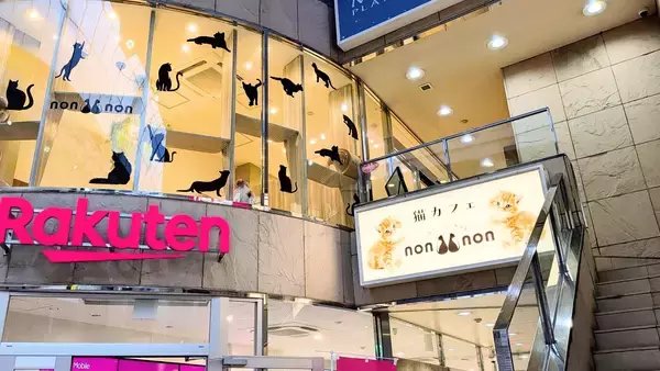 「2月22日は「猫の日」！仙台駅前の猫カフェで特別クイズイベント開催。3月に2周年を迎える「長町店」への架け橋となる“前夜祭”をプロデュース」の画像