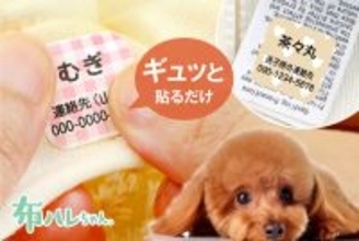 新感覚のペット迷子札「わんにゃん迷子シール」愛犬や愛猫のお洋服にギュッと貼るだけ5秒で完了！