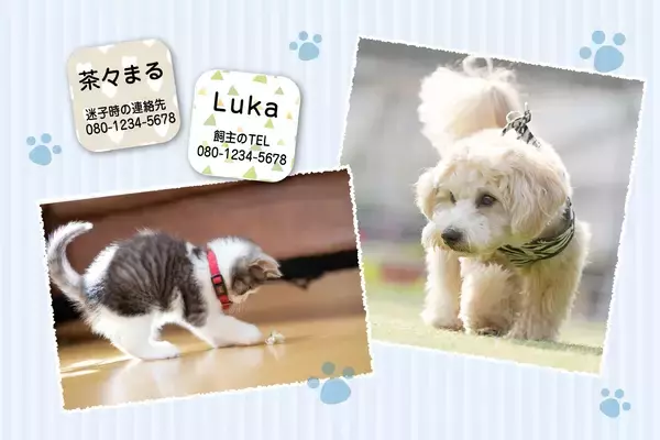 「新感覚のペット迷子札「わんにゃん迷子シール」愛犬や愛猫のお洋服にギュッと貼るだけ5秒で完了！」の画像
