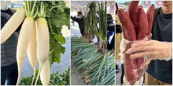 「＜埼玉・道の駅おがわまち＞12月27日～1月4日開催　冬のごちそうフェスタ～詰め放題＆ふるまい祭り～白菜も埼玉県産深谷ねぎも極細おいものけんぴも詰め放題！！旬の深谷ねぎをその場で焼いて食べる！「ねぎ焼きコーナー」も開催」の画像