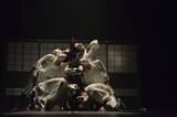 「ダンスカンパニーDAZZLE結成30周年代表作『花ト囮（はなとおとり）』を新たに再構築！池袋あうるすぽっとにて7月上演決定！」の画像4