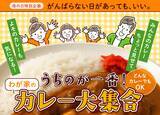 「母の日特別企画「わが家のカレー大集合！」5月13日まで参加受付中」の画像1
