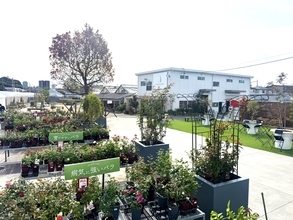 ～総合造園・園芸会社がプロデュースする体験展示スペース～  「京阪園芸ガーデナーズPARK(パーク)」 2025年10月24日（金）オープン！