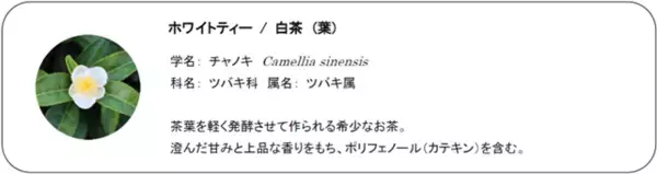 「メラニン生成の初期段階に着目し、シミをつくらせない美白効果を実現」の画像