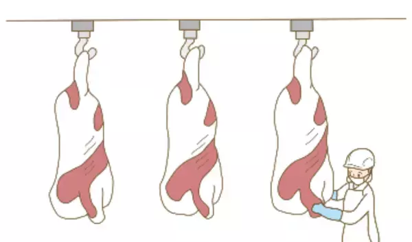 「お肉ってどこから来てるの？～国産食肉と食料の未来を考える～食育「パラパラ漫画動画」公開」の画像