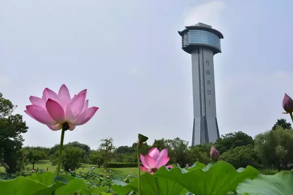 「SLに乗って行田市の古代蓮・田んぼアート観賞へお出かけ！7/11(土)、12(日)「SL日本遺産のまち行田号」熊谷駅発→行田市駅行を1日2便特別運行」の画像