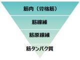 「タンパク質を意識して摂取しても思ったほど筋肉がついていない？運動×タンパク質だけではない、筋肉づくりの新しいアプローチ方法」の画像4