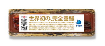 完全養殖ウナギ蒲焼の試験販売