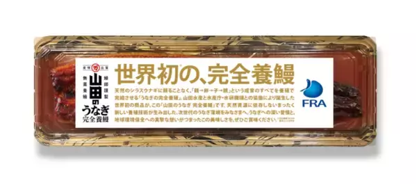 完全養殖ウナギ蒲焼の試験販売