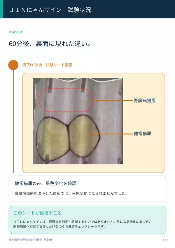 「猫の尿から「沈黙の臓器」腎臓の変化に気づく新たな研究を日本獣医腎泌尿器学会にて公開！」の画像