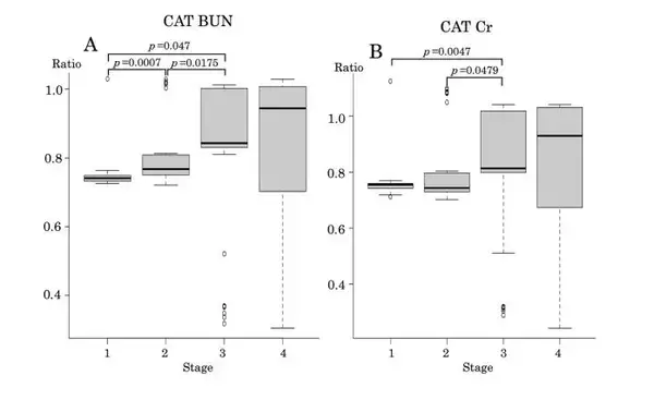 「猫の尿から「沈黙の臓器」腎臓の変化に気づく新たな研究を日本獣医腎泌尿器学会にて公開！」の画像