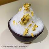 「冬こそ導入！「氷のいらないかき氷機 純雪機」ウェビナー開催 ～温浴施設・ホテル向け客単価UP革命～」の画像4