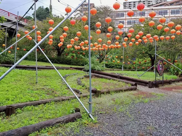 「台湾・九份との灯りを日常へ 熱川温泉「提灯回廊」常設化クラウドファンディング、2週間で約4割達成」の画像