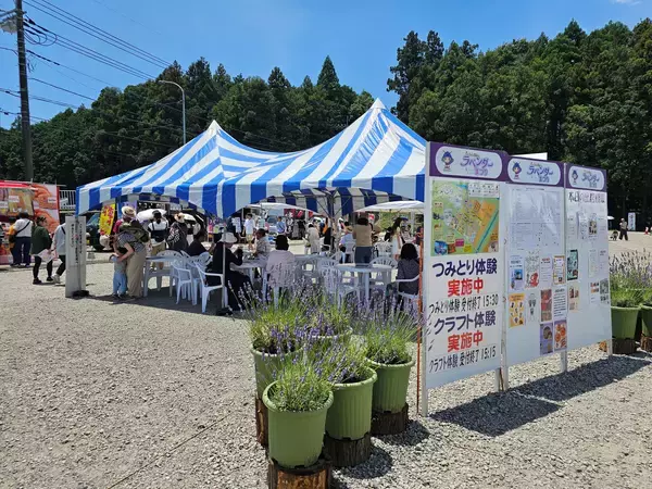「埼玉・嵐山「千年の苑ラベンダー園」の季節限定イベント『らんざんラベンダーまつり』が6/13(土)から開催！」の画像