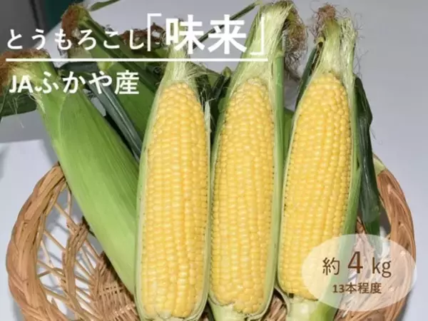 甘み際立つ埼玉県産とうもろこし「味来(みらい)」産地直送通販サイト「ＪＡタウン」で予約販売中！