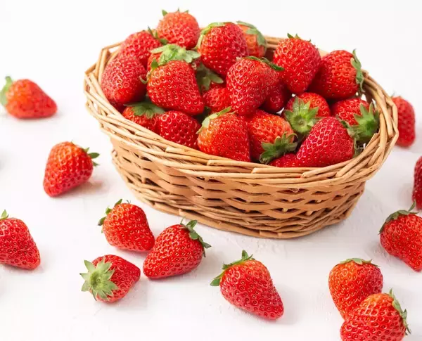 「【新商品情報｜2026年3月17日～31日まで限定】甘みと旨みが一味違う高級抹茶「天空の抹茶®」を使用した『天空の抹茶®苺大福』限定販売」の画像