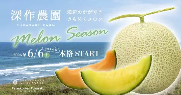 深作農園のメロンシーズン　6/6(土)メロンの日から本格スタート