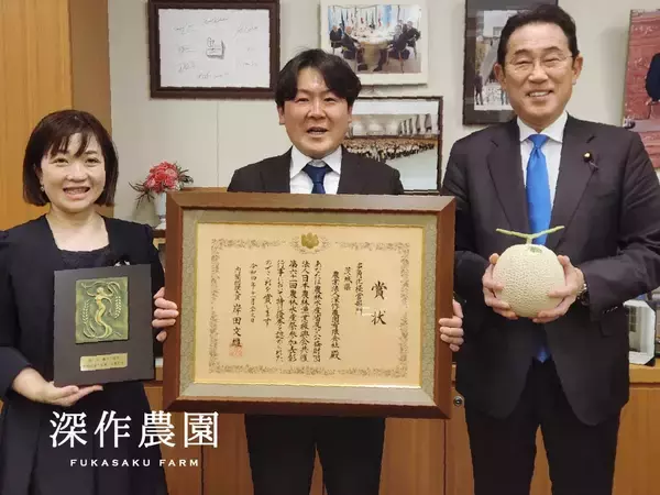 「深作農園のメロンシーズン　6/6(土)メロンの日から本格スタート」の画像