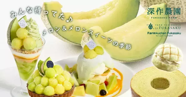 「深作農園のメロンシーズン　6/6(土)メロンの日から本格スタート」の画像