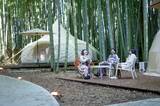 「【U25・学割プラン限定】動物園×グランピングのTHE BAMBOO FORESTが特別プラン開始　オールインクルーシブ＋先着でチェキフィルム10枚プレゼント！」の画像1