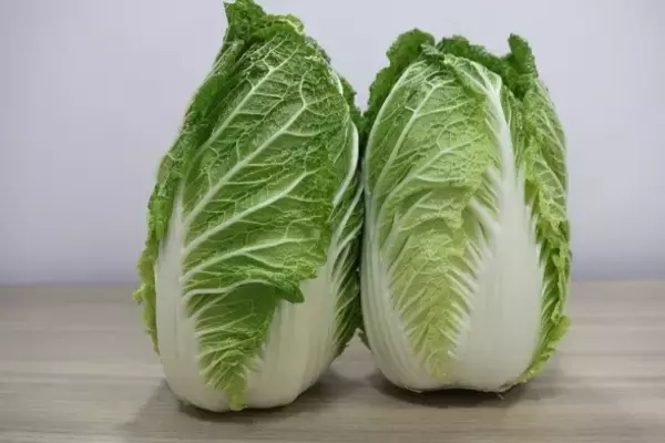 「【ハウス食品×ＪＡグループ兵庫】 第２弾！今年の冬は「淡路島産白菜を使ったカレー・シチュー」を食べよう！」の画像