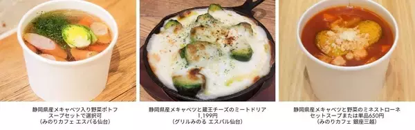 ～ころんとかわいい冬野菜。甘みの詰まった小さな主人公～全農直営飲食店舗で「静岡県産メキャベツフェア」を２月６日（金）～２月１５日（日）に開催