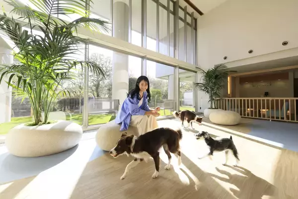 「熱海の愛犬リゾート宿×人気観光地がコラボ！わんちゃん無料入園券付きプラン販売開始｜2026年2月1日～」の画像