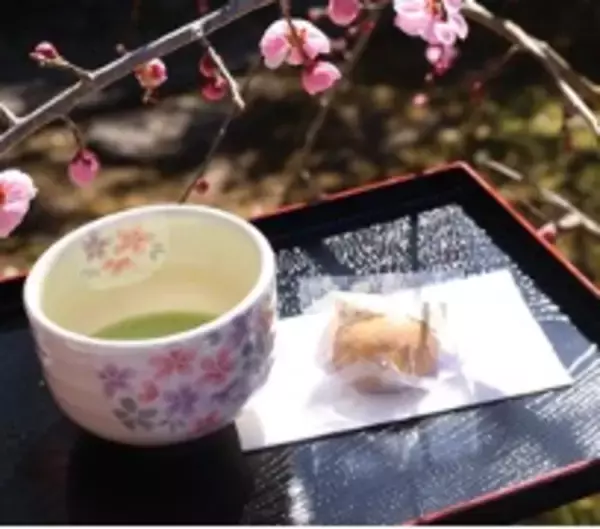 「熊本県 人吉球磨地域の10市町村で「人吉球磨のひなまつり」2月1日(日)から開催！＼国宝青井阿蘇神社にてオープニングイベント／」の画像