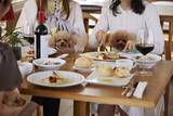 「愛犬とともに楽しむ「ディナーコンサート」第二弾！東京ベイのロケーションを満喫できるレストランCREAで開催｜2026年2月15日（日）【キラナガーデン豊洲】」の画像3