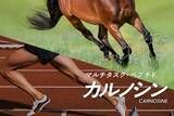 「スポーツサプリメント『カルノパワーDAILY』全面リニューアル！主成分のカルノシンをサポートする新成分 BCAA・シトルリン・オルニチンを配合し、7月30日発売」の画像4