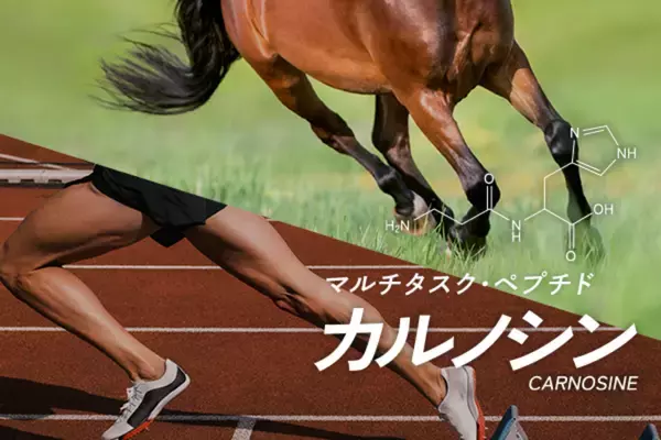 「スポーツサプリメント『カルノパワーDAILY』全面リニューアル！主成分のカルノシンをサポートする新成分 BCAA・シトルリン・オルニチンを配合し、7月30日発売」の画像