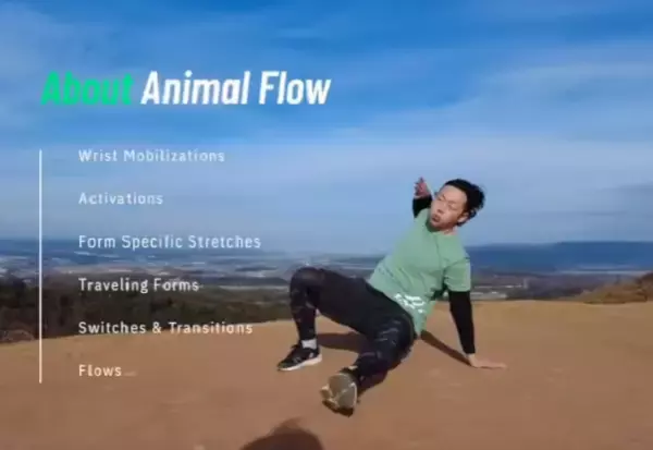 「ANIMAL REBOOT パーソナルジム　理学療法士が導く、「整体×トレーニング」の新習慣。」の画像