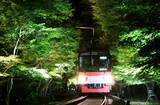 「～夜の京都を楽しむ。もみじのトンネルを抜けて貴船・鞍馬へ～「青もみじのライトアップ」を実施します」の画像1