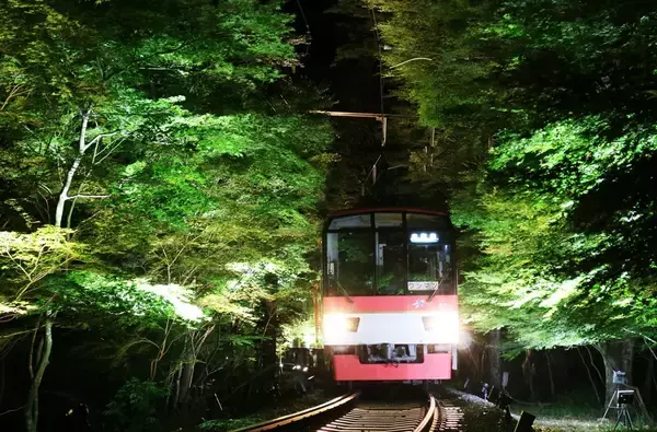 ～夜の京都を楽しむ。もみじのトンネルを抜けて貴船・鞍馬へ～「青もみじのライトアップ」を実施します