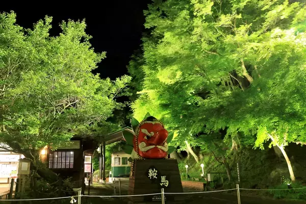 「～夜の京都を楽しむ。もみじのトンネルを抜けて貴船・鞍馬へ～「青もみじのライトアップ」を実施します」の画像