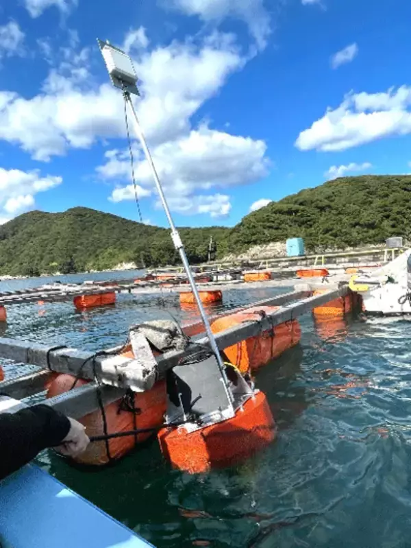 「「Wi-Fi HaLow」などを活用した漁場モニタリングに関する実証実験に成功」の画像