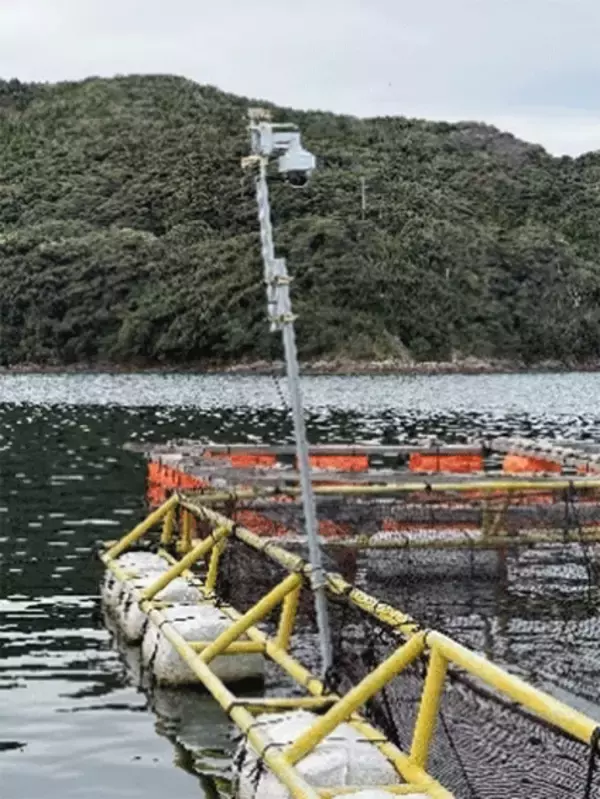 「「Wi-Fi HaLow」などを活用した漁場モニタリングに関する実証実験に成功」の画像