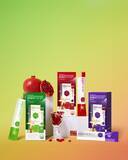 「フードオロジー　日本限定フレーバー「メロン」「ブルーベリー」を発売」の画像1