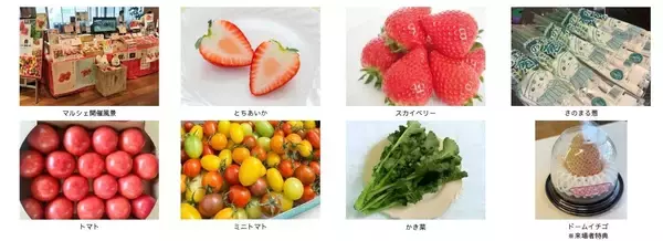 銀座三越みのりみのるマルシェ「佐野の実り」を３月２１日（土）に開催