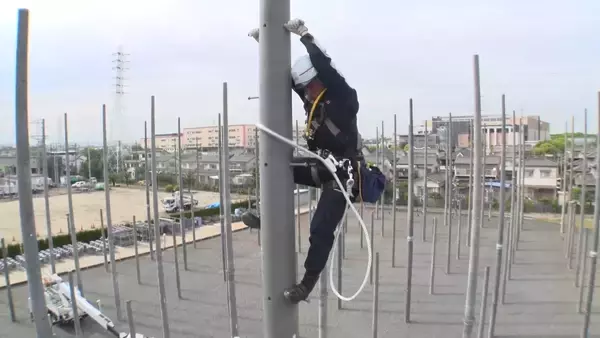 「日本一の神様密度！？神社だらけの島や電柱だらけ、焼き肉店だらけなど…全国各地の“だらけ”の謎に迫る！」の画像