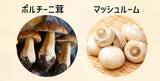 「【首都圏ライフ】昨年SNSでバズった“あの”商品がさらにおいしくなって帰ってきた！！「黒舞茸とポルチーニソースのライスプレート」販売中♪」の画像3