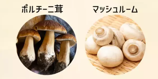 「【首都圏ライフ】昨年SNSでバズった“あの”商品がさらにおいしくなって帰ってきた！！「黒舞茸とポルチーニソースのライスプレート」販売中♪」の画像