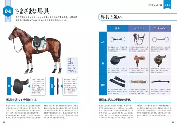 「競馬の全てがわかる！『サラブレッド大辞典』12月19日発売」の画像