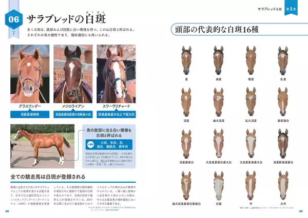 「競馬の全てがわかる！『サラブレッド大辞典』12月19日発売」の画像