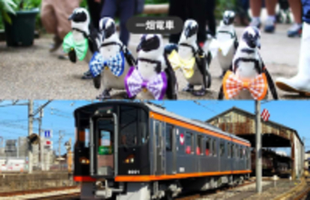 出雲大社観光に便利　一畑電車が1日乗り放題　松江フォーゲルパーク入園券付き乗車券をモバイルチケットで販売開始