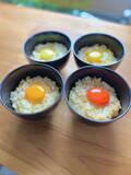 「品揃え世界一！ブランドたまご販売店「幻の卵屋さん」が6/13に初の直営常設店をオープンします！」の画像2