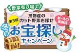 「旭物産の冬のキャンペーンが今年も登場！「第3回 旭物産のカット野菜を探せ　恒例！冬のお宝探しキャンペーン」開催のお知らせ」の画像1