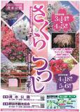 「【清水公園】約2万株のツツジが咲き誇る！「つつじまつり」を開催　令和8年4月18日～5月6日」の画像2