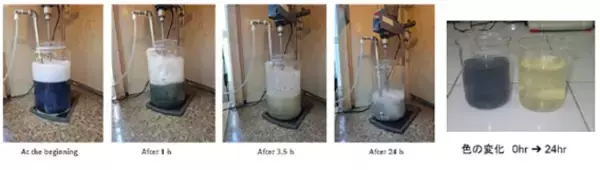 WEF技術開発、ベトナムで活性酸素技術利用広がる